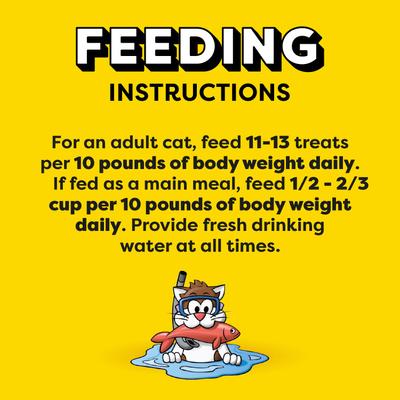 Show full view: Temptations Classic Savory Salmon Flavor Crunchy & Soft Cat Treats, 3-oz bag slide 8 of 12