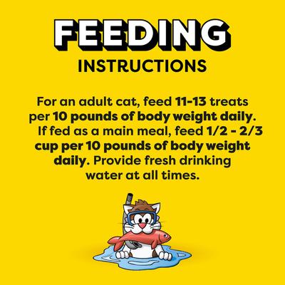 Show full view: Temptations Classic Savory Salmon Flavor Crunchy & Soft Cat Treats, 48-oz bag slide 8 of 12