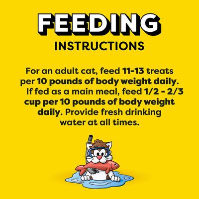 Show full view: Temptations Classic Savory Salmon Flavor Crunchy & Soft Cat Treats, 6.3-oz bag slide 8 of 12