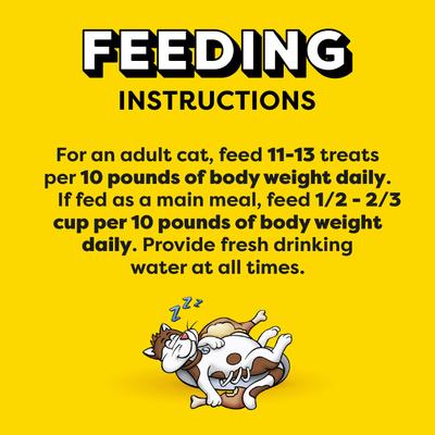 Show full view: Temptations Classic Tantalizing Turkey Flavor Soft & Crunchy Cat Treats, 3-oz bag slide 8 of 12