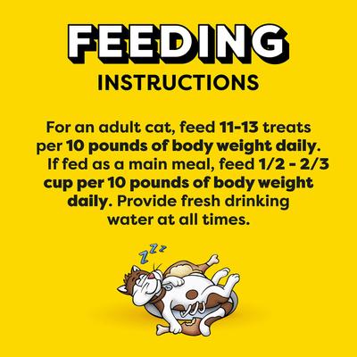 Show full view: Temptations Classic Tantalizing Turkey Flavor Soft & Crunchy Cat Treats, 6.3-oz bag slide 8 of 12