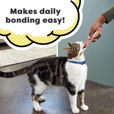 Show full view: Temptations Creamy Puree Salmon, Chicken & Tuna Variety Pack Lickable Cat Treats, 0.425-oz tube, pack of 48 slide 3 of 12