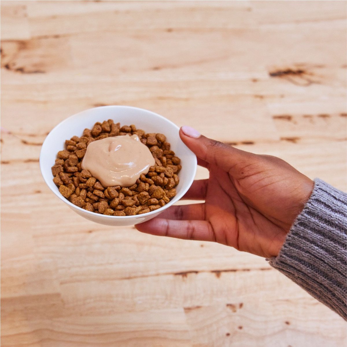 Cat Food Homemade Cat Treats Peanut Butter Kitty Treat Recipes