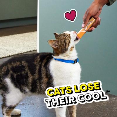 Show full view: Temptations Creamy Puree with Cheese Topper Lickable Cat Treats, 0.425-oz pouch, 4 count slide 10 of 12