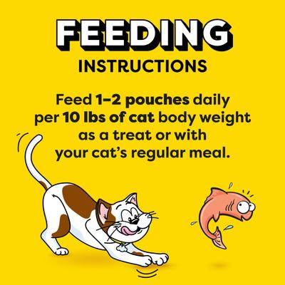 Show full view: Temptations Creamy Puree with Salmon Lickable Cat Treats, 0.425-oz pouch, 24 count slide 8 of 12