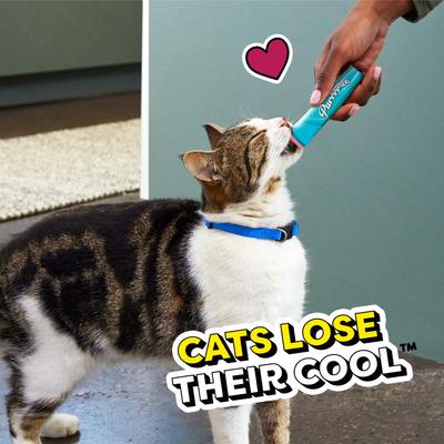 Show full view: Temptations Creamy Puree with Tuna Lickable Cat Treats, 0.425-oz pouch slide 10 of 12