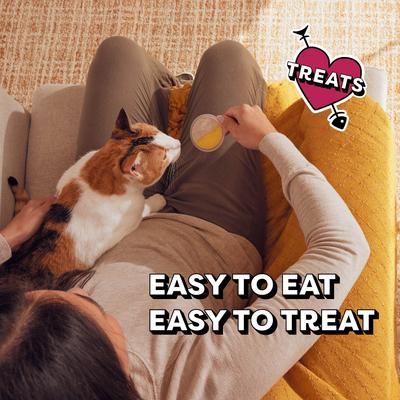 Show full view: Temptations Lickable Spoons Tasty Chicken & Cheesy Cheese Cat Lickable Treats, .353-oz spoon, box of 4 slide 6 of 11