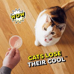Temptations Lickable Spoons Variety Pack with Chicken & Salmon Lickable Cat Treats, 25.4-oz box, case of 72 slide 2 of 9