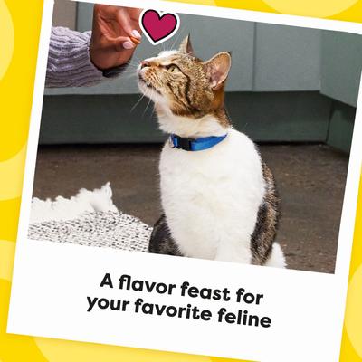 Show full view: Temptations MixUps Backyard Cookout Flavor Soft & Crunchy Cat Treats, 3-oz bag slide 9 of 12