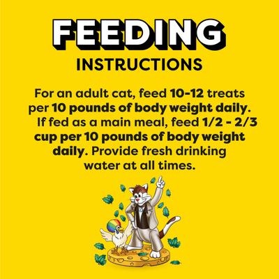 Show full view: Temptations MixUps Catnip Fever Flavor Crunchy & Soft Cat Treats, 48-oz bag slide 8 of 11