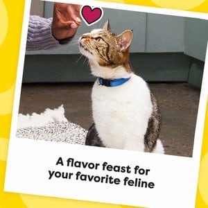 Temptations MixUps Catnip Fever Flavor Soft & Crunchy Cat Treats, 3-oz bag