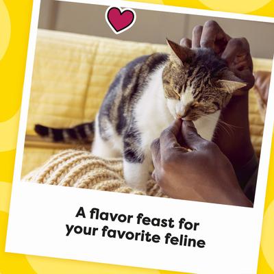 Show full view: Temptations MixUps Surfers' Delight Flavor Soft & Crunchy Cat Treats, 30-oz tub slide 9 of 12