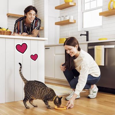 Show full view: Temptations Pate in Gravy Flavor Variety Wet Cat Food, 3.5-oz tray, case of 12 slide 9 of 11