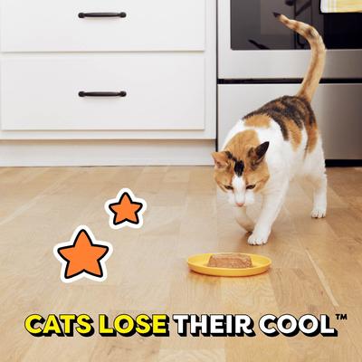 Show full view: Temptations Pate in Gravy Flavor Variety Wet Food + Seafood Dry Cat Food slide 5 of 9