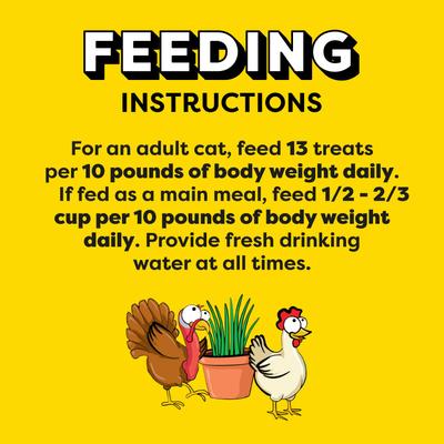 Show full view: Temptations ShakeUps Clucky Carnival Chicken, Turkey & Catnip Flavor Soft & Crunchy Cat Treats, 5.29-oz bag slide 8 of 11