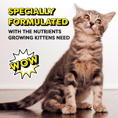 Show full view: Temptations Tasty Chicken & Dairy Flavor Dry Kitten Food, 13.5-lb bag slide 5 of 11