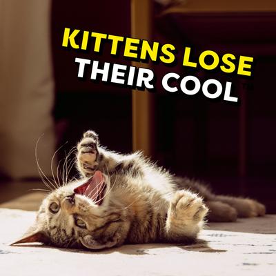 Show full view: Temptations Tasty Chicken & Dairy Flavor Dry Kitten Food, 3.15-lb bag slide 9 of 11