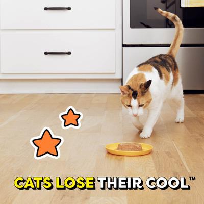 Show full view: Temptations Tasty Chicken Flavor Pate in Gravy Wet Cat Food, 3.5-oz tray, case of 24 slide 5 of 11