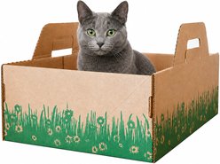 Ten Second Litter Box Disposable Cat Litter Box, 5 count