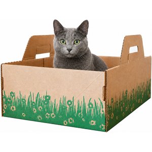 Ten Second Litter Box Disposable Cat Litter Box, 5 count