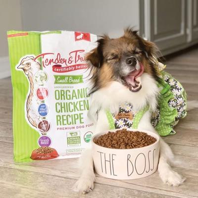 Show full view: Tender & True Organic Chicken Recipe Small Breed Grain-Free Dry Dog Food, 12-lb bundle slide 6 of 7