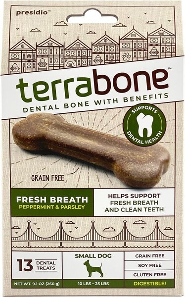 KONG Chew Buddies Fresh Breath Dog Treats