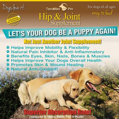 Show full view: TerraMax Pro Extra Strength Dog Hip & Joint Supplement, 32-fl oz bottle slide 5 of 7