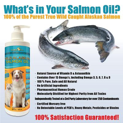 Show full view: TerraMax Pro Premium Wild Alaskan Salmon Oil Skin & Coat Dog & Cat Liquid Supplement, 32-fl oz bottle slide 7 of 7