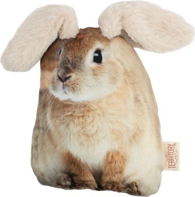 Show full view: Territory Floppy Friends Moving Dog Toy Bundle, 2 count slide 3 of 8