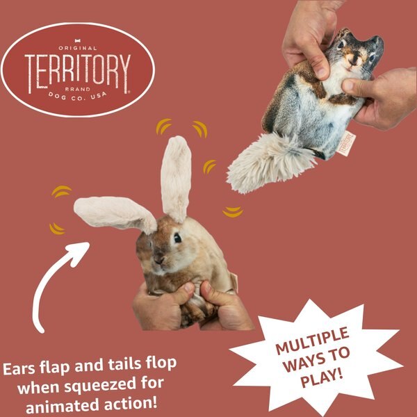 Territory Floppy Friends Moving Dog Toy Bundle, 2 count