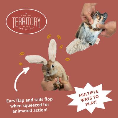 Show full view: Territory Floppy Friends Moving Dog Toy Bundle, 2 count slide 4 of 8