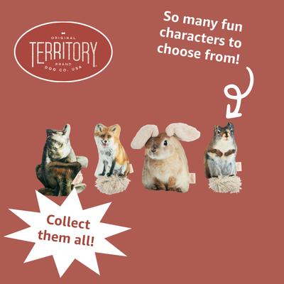 Show full view: Territory Floppy Friends Moving Dog Toy Bundle, 2 count slide 7 of 8