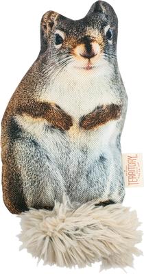 Show full view: Territory Floppy Friends Moving Dog Toy Bundle, 2 count slide 6 of 8