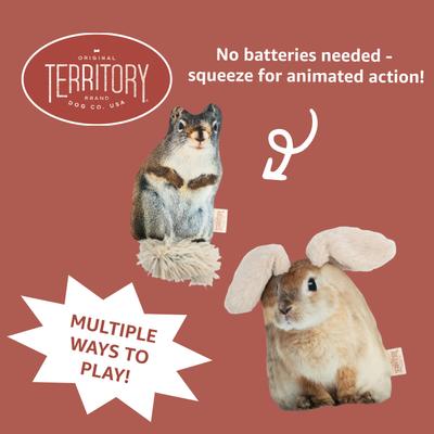 Show full view: Territory Floppy Friends Moving Dog Toy Bundle, 2 count slide 5 of 8