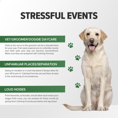 Show full view: Terry Naturally Animal Health Calming Formula Dog Supplement, 45 count slide 7 of 9