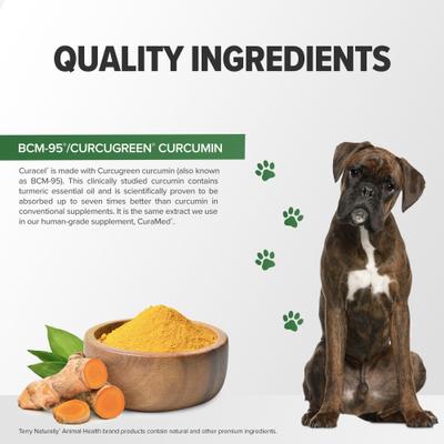 Show full view: Terry Naturally Animal Health Curacel Curcumin Optimal Cellular Support Dog Supplement, 60 count slide 7 of 9