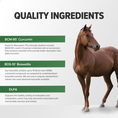 Show full view: Terry Naturally Animal Health Curamax Powerful Curcumin Pellets Horse Supplement, 1-lb canister slide 7 of 8