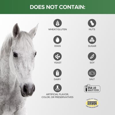 Show full view: Terry Naturally Animal Health Curamax Powerful Curcumin Pellets Horse Supplement, 1-lb canister slide 8 of 8