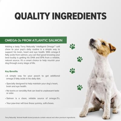 Show full view: Terry Naturally Animal Health Intelligent Omega Dog Supplement, 60 count slide 6 of 8