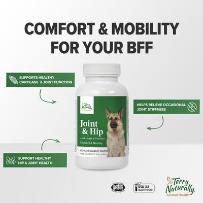 Show full view: Terry Naturally Animal Health Joint & Hip Formula Dog Supplement, 60 count slide 6 of 8