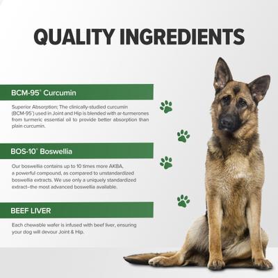 Show full view: Terry Naturally Animal Health Joint & Hip Formula Dog Supplement, 60 count slide 7 of 8