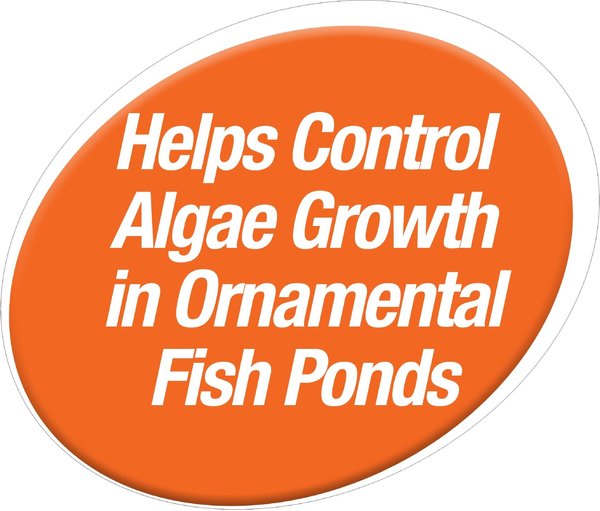 Show full view: Tetra Algae Control Pond Block Water Treatment, 50 count slide 4 of 9