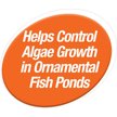 Show in main carousel: Tetra Algae Control Pond Block Water Treatment, 50 count slide 4 of 9