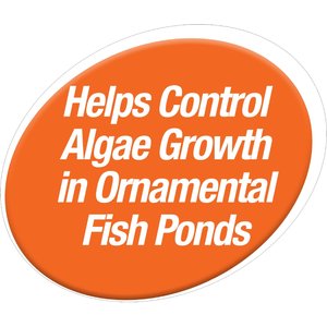 Tetra Algae Control Pond Block Water Treatment, 50 count