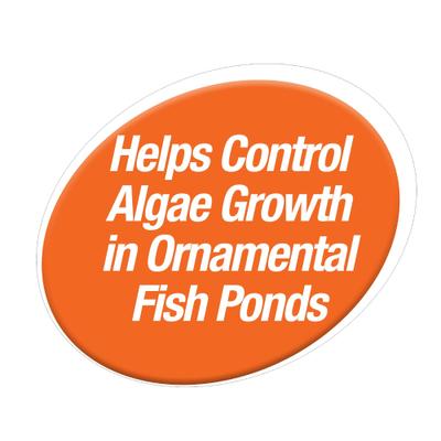 Show full view: Tetra Algae Control Pond Block Water Treatment, 50 count slide 4 of 9