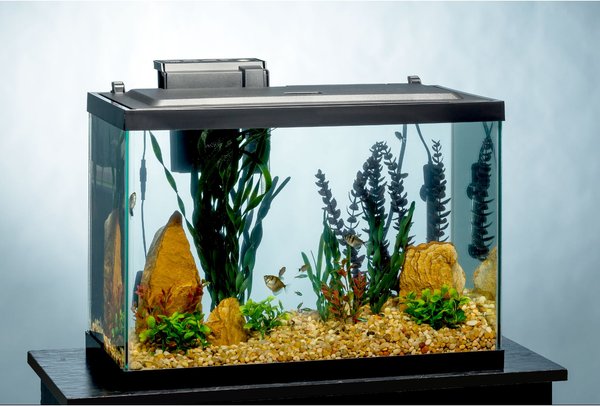 Cool 20 Gallon Fish Tanks 20-29 Gallon Fish Tank Stand With Plant