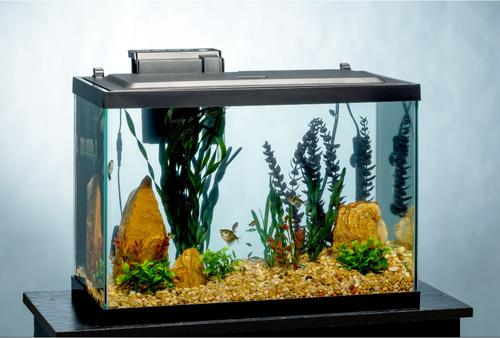 TETRA Aquarium + LED Lighting & Decor Fish Aquariums, 20-gal