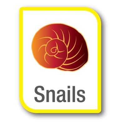 Show full view: Tetra BIO-Bag Aquarium Filter Cartridge, Medium, 4 count slide 4 of 11