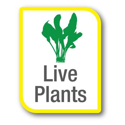 Show full view: Tetra BIO-Bag Aquarium Filter Cartridge, Medium, 8 count slide 5 of 11