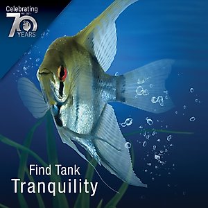 Tetra Bio-Bag Large Disposable Filter Cartridges, 12 count